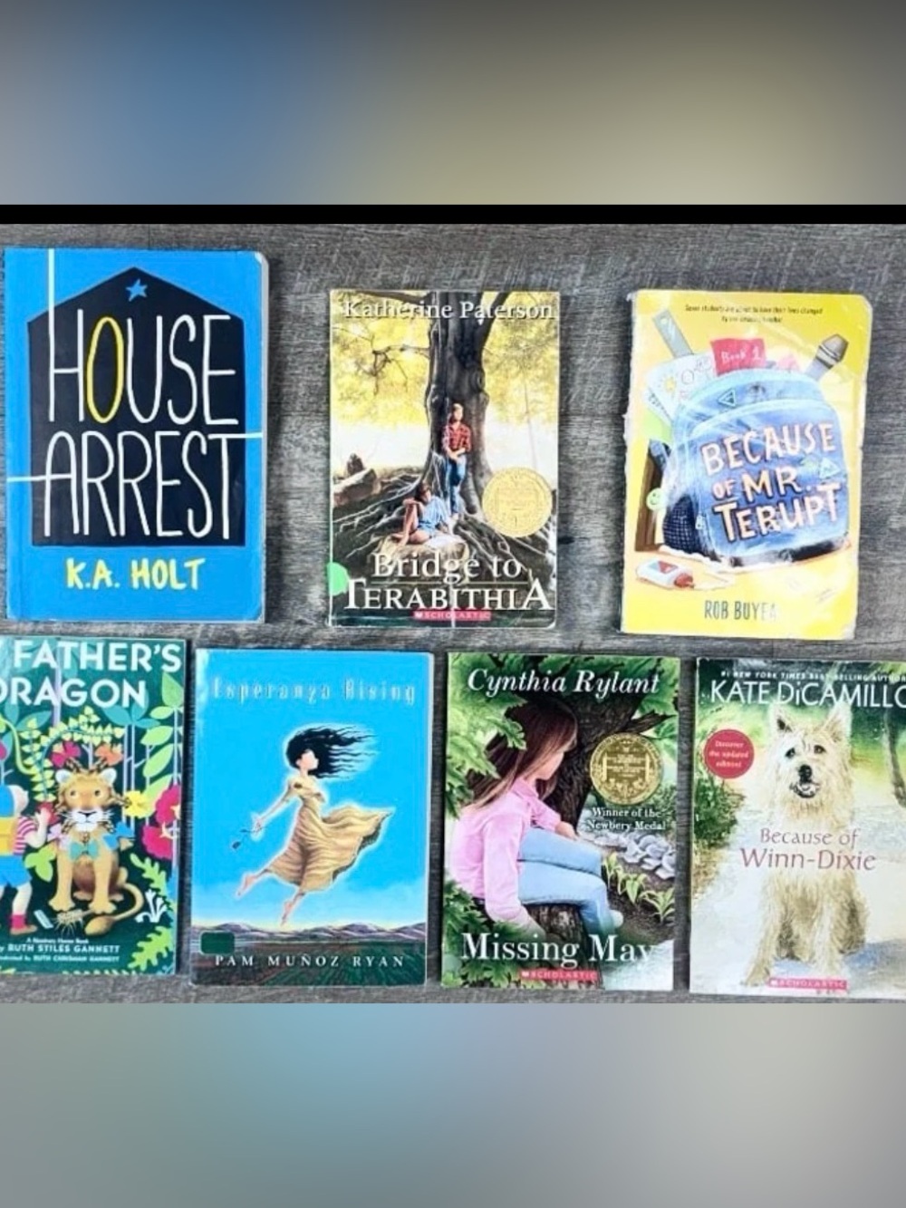Lot of 7 Award-Winning Middle Grade Novels - Newbery Winners & Classics